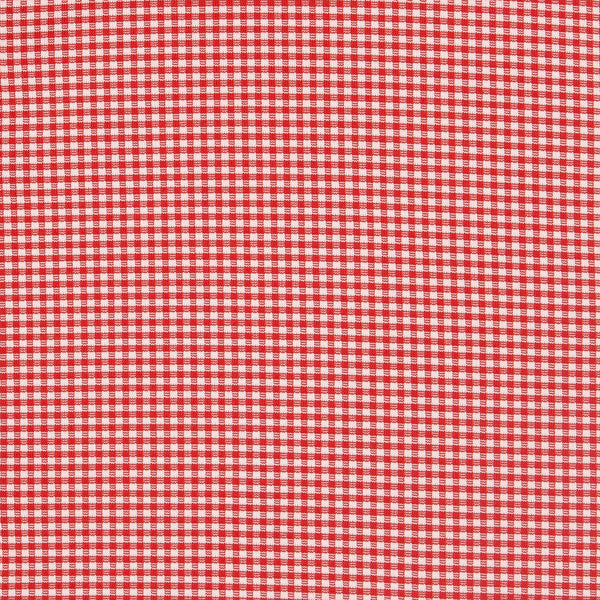 Hawthorne - Red Gingham, fabric swatch closeup