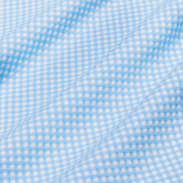Light Blue Gingham Close-up/Swatch