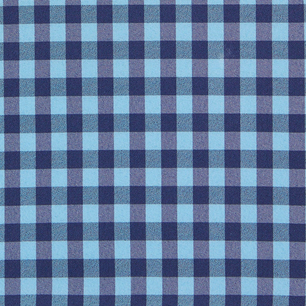 Whitten - Blue Gingham, fabric swatch closeup