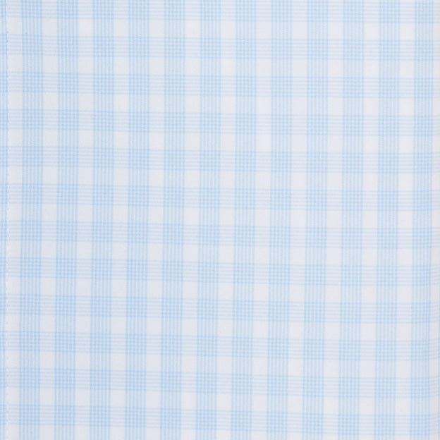 Light Blue Check Close-up/Swatch